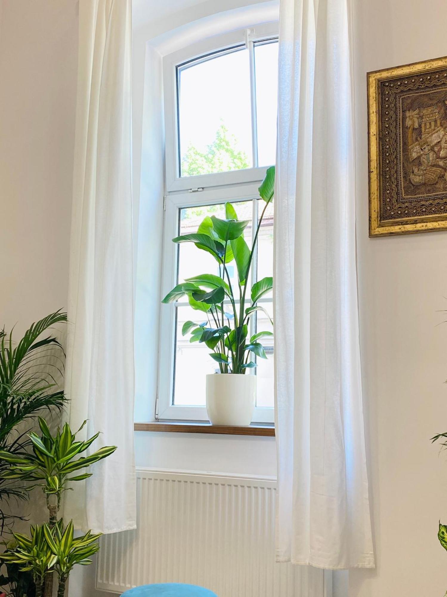 Jungle Loft - Central/Free Parking Ljubljana Exterior photo