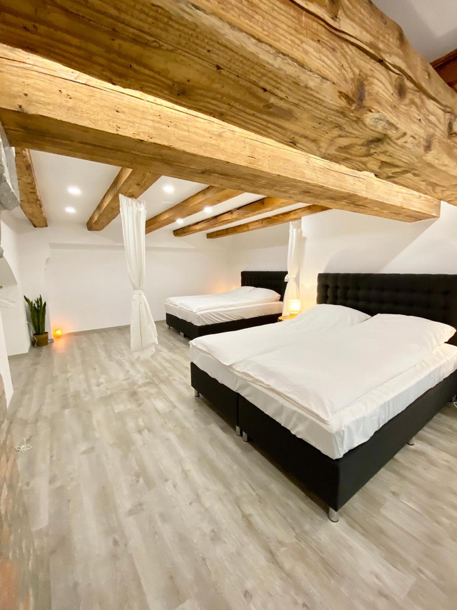 Jungle Loft - Central/Free Parking Ljubljana Exterior photo
